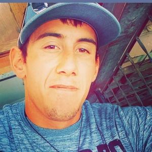 Meet your Posher, Dalton